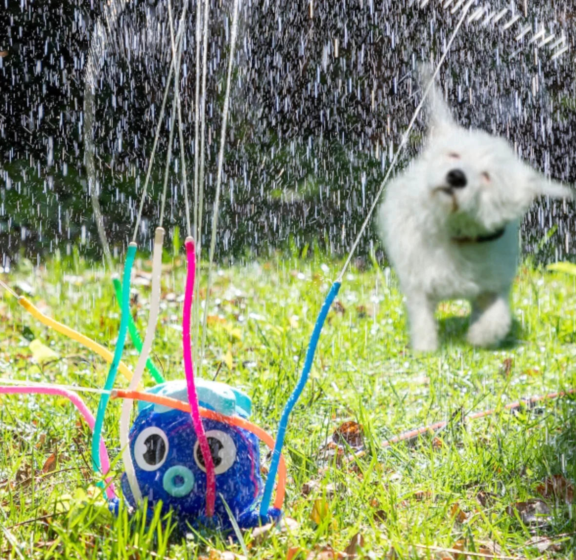 Der witzige Oktopus Der ultimative Sprinkler und Sprayer für Kinder